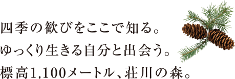 四季の歓びをここで知る。ゆっくり生きる自分と出会う。標高1,100メートル、ケベックの森。